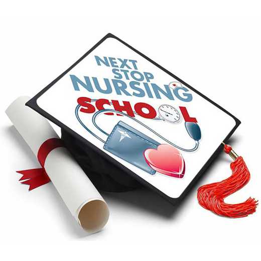 NURSINGSCHOOL: Next Stop Nursing School Grad Cap Tassel Topper